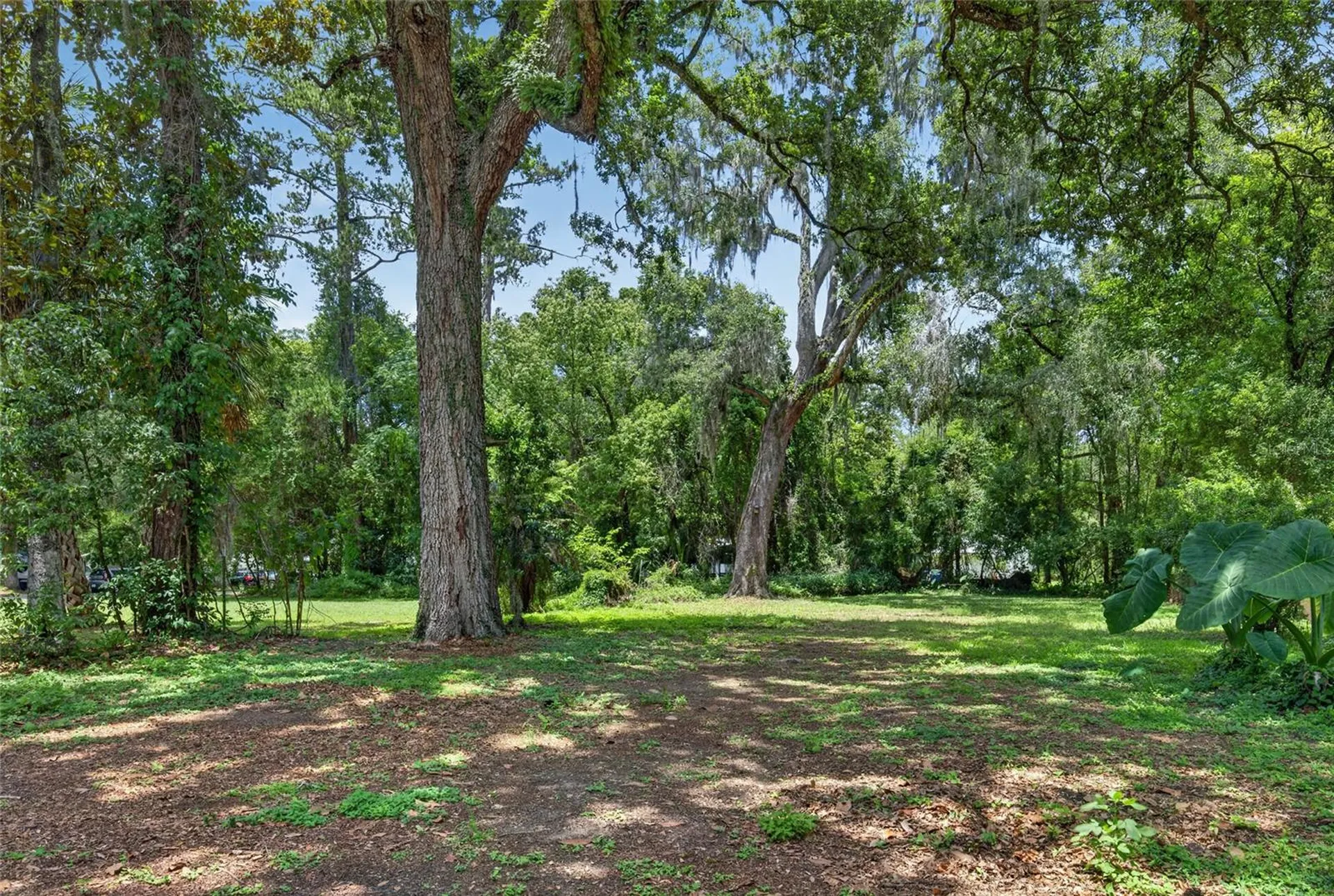 18455 Shady Side Drive Brooksville FL 34601