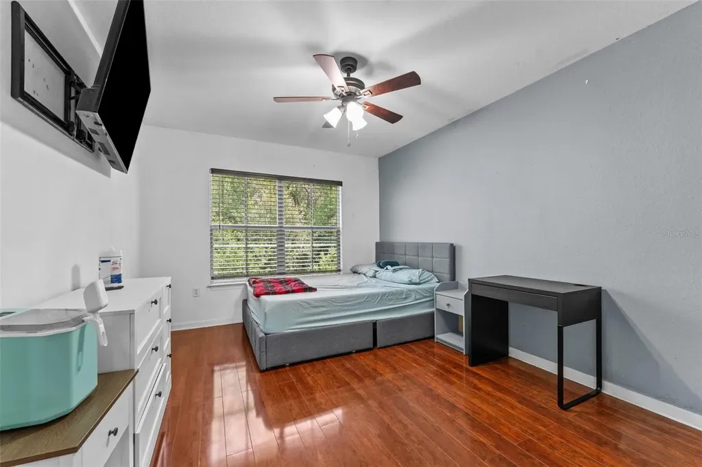 8104 Downpatrick Court Tampa FL 33610