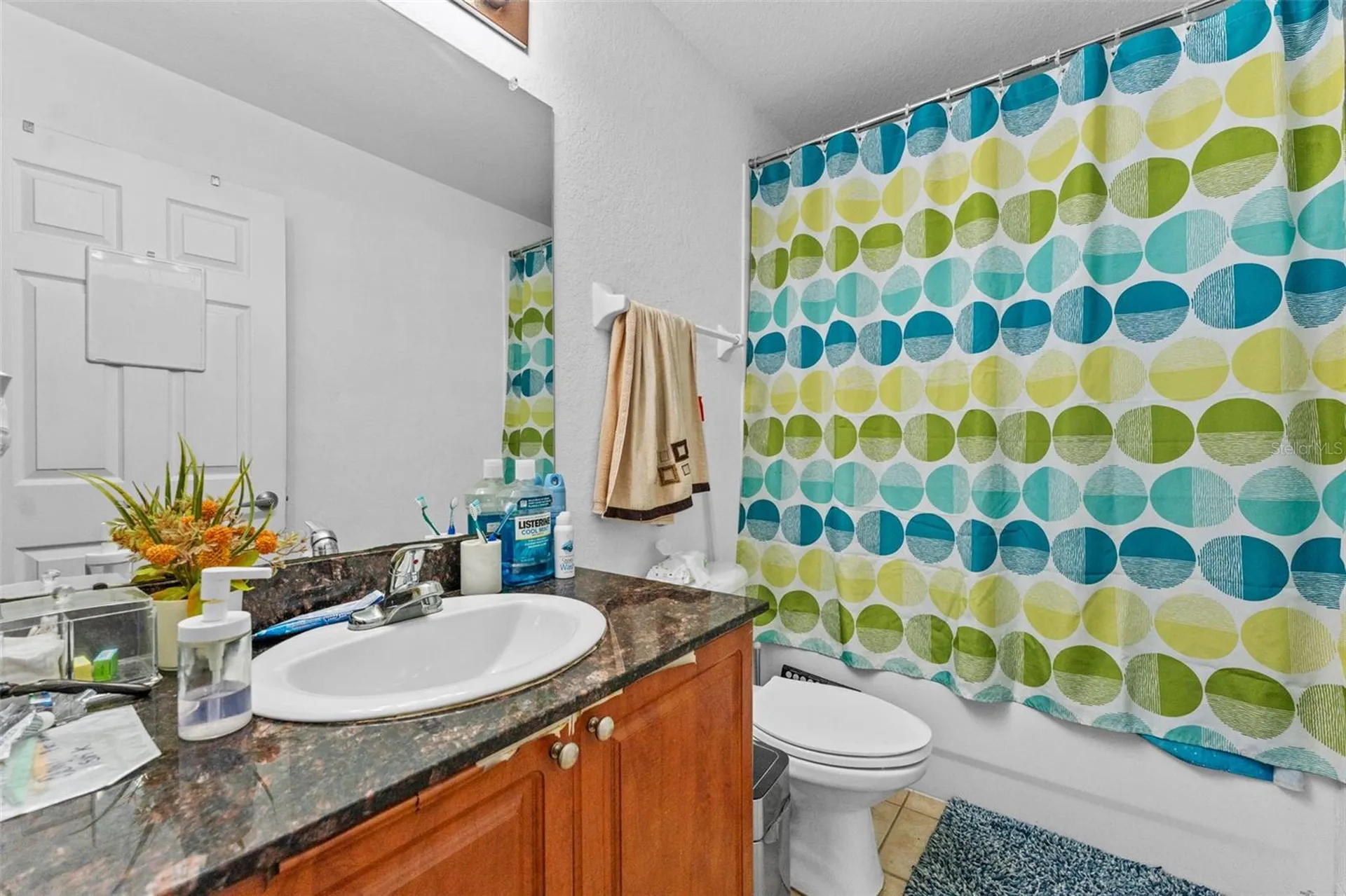 8104 Downpatrick Court Tampa FL 33610