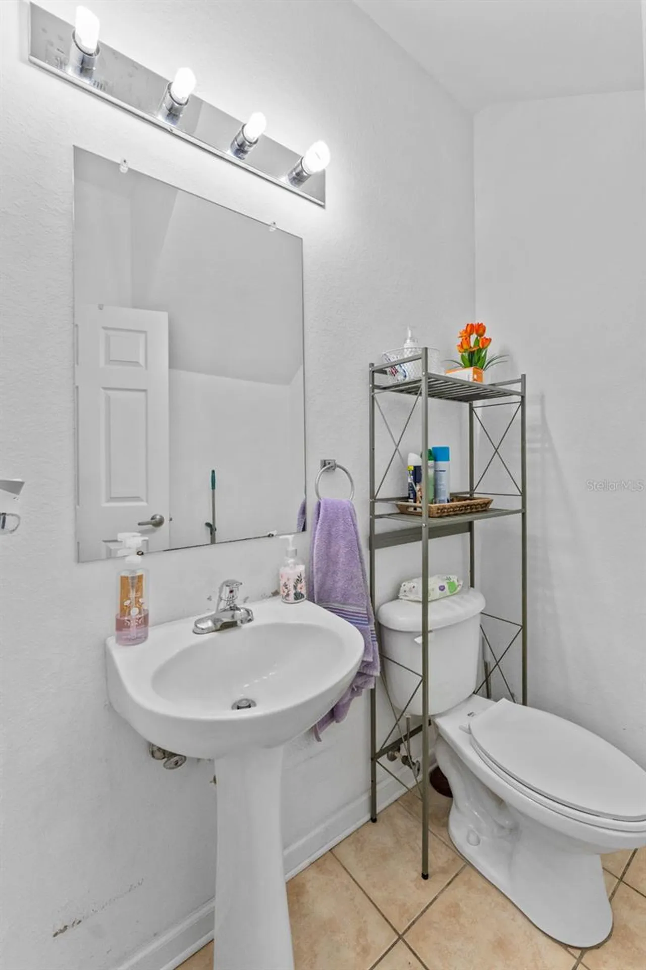 8104 Downpatrick Court Tampa FL 33610