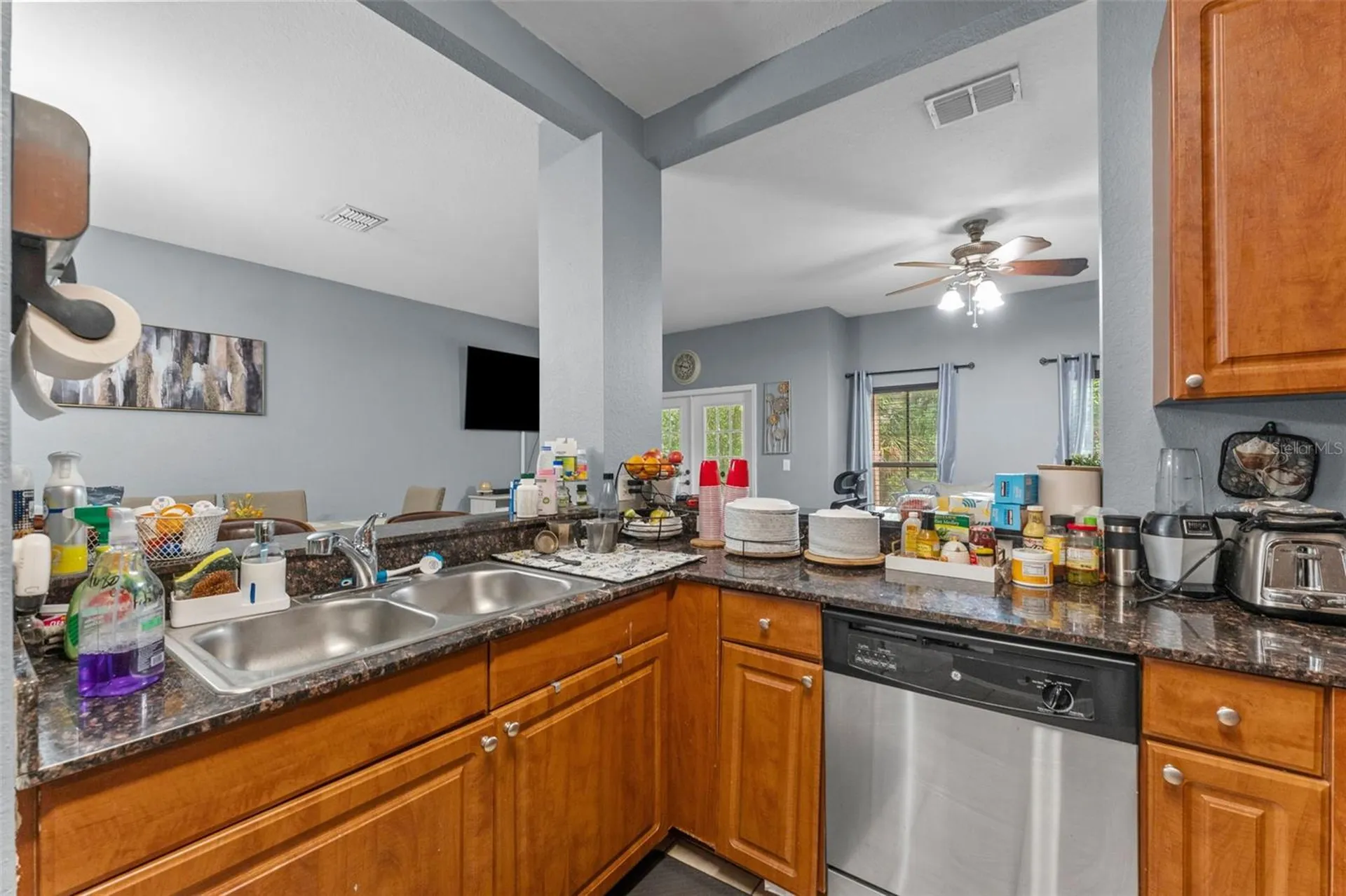 8104 Downpatrick Court Tampa FL 33610