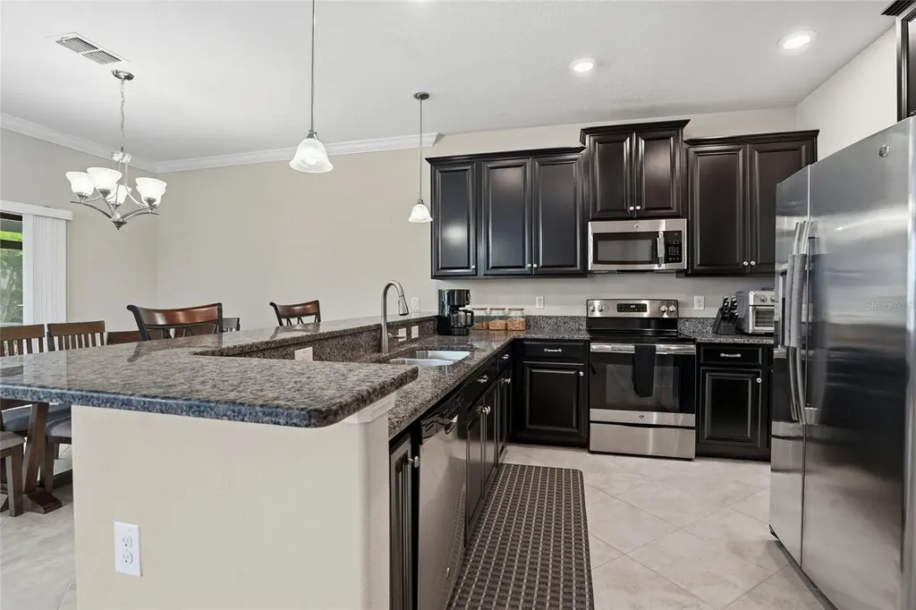 28580 Tranquil Lake Circle Wesley Chapel FL 33543