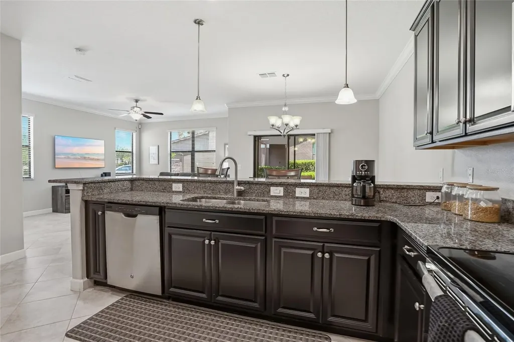 28580 Tranquil Lake Circle Wesley Chapel FL 33543