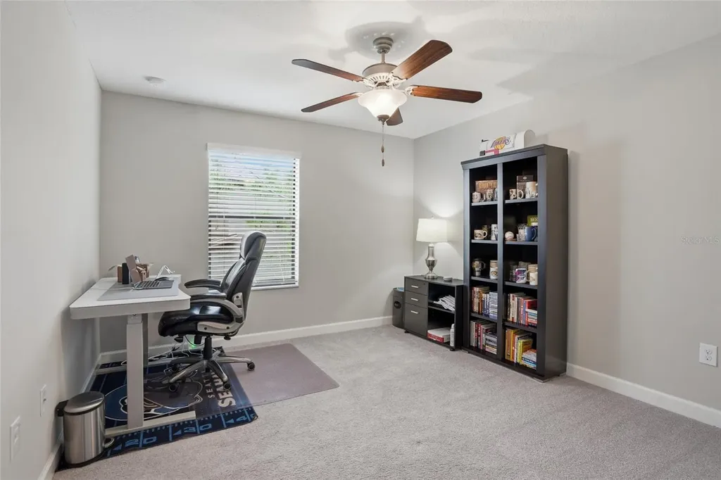 28580 Tranquil Lake Circle Wesley Chapel FL 33543