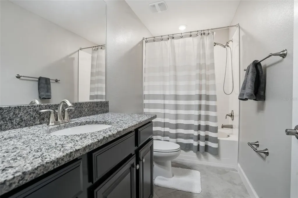 28580 Tranquil Lake Circle Wesley Chapel FL 33543