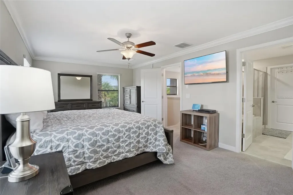 28580 Tranquil Lake Circle Wesley Chapel FL 33543