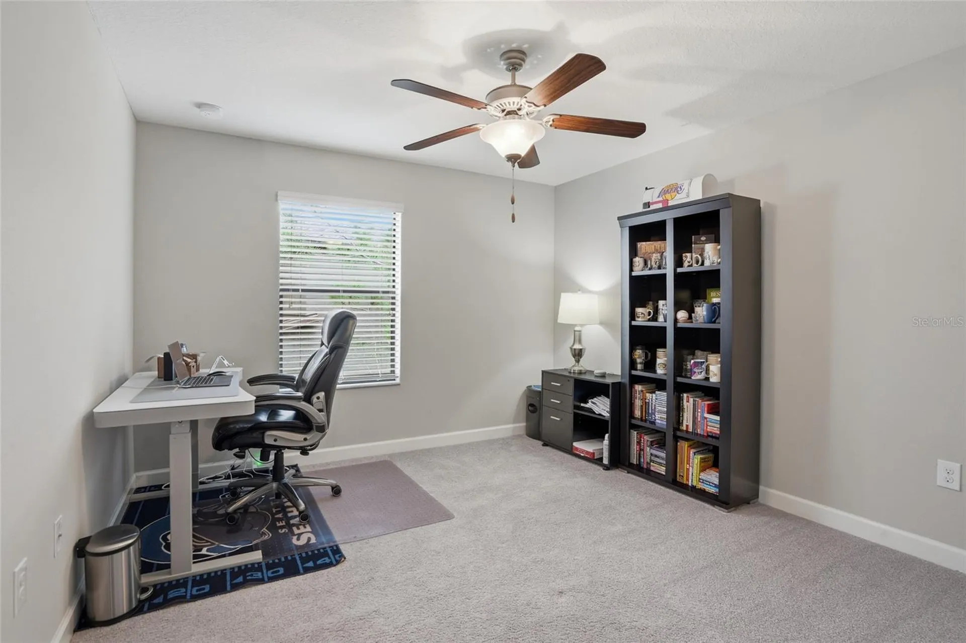 28580 Tranquil Lake Circle Wesley Chapel FL 33543
