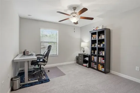 28580 Tranquil Lake Circle Wesley Chapel FL 33543