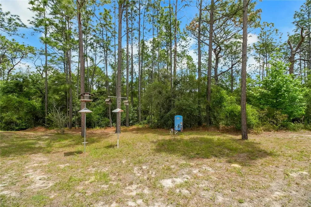 20831 SW 59th Lane Dunnellon FL 34431