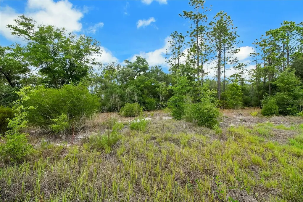 20831 SW 59th Lane Dunnellon FL 34431