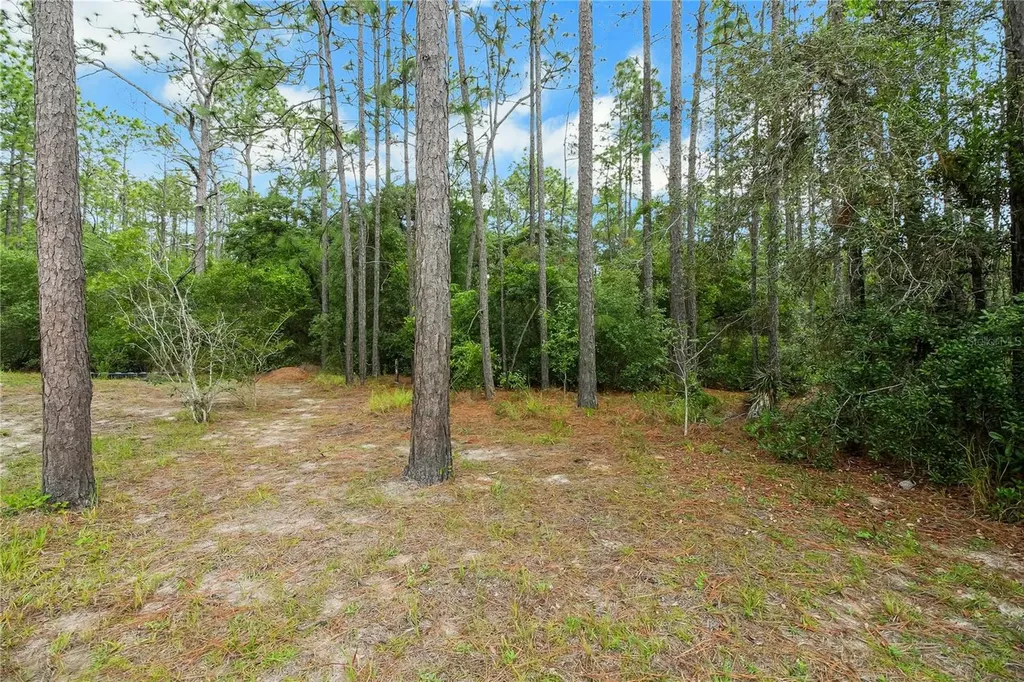 20831 SW 59th Lane Dunnellon FL 34431