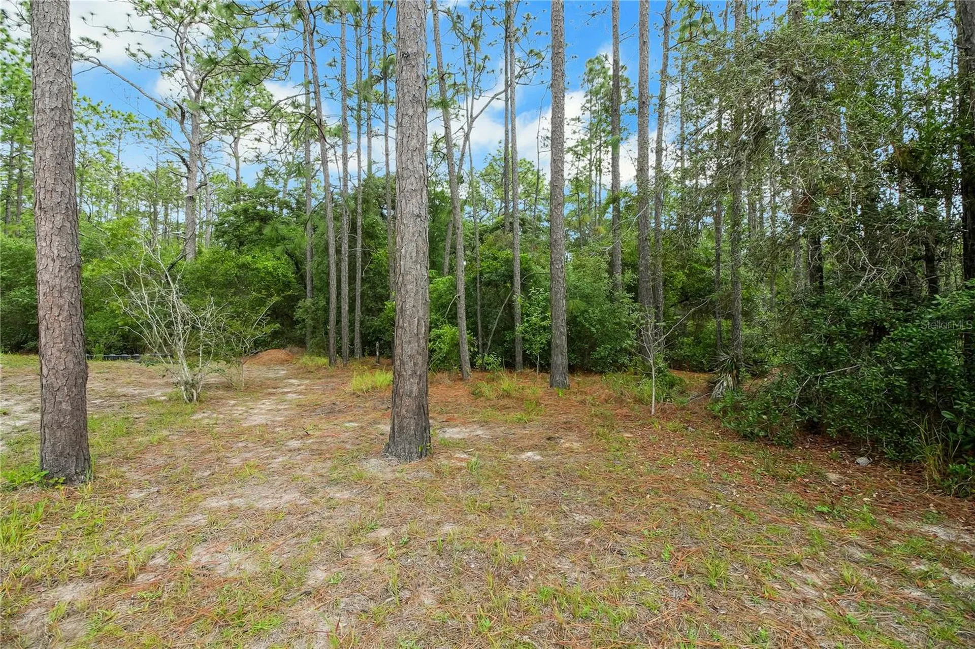 20831 SW 59th Lane Dunnellon FL 34431