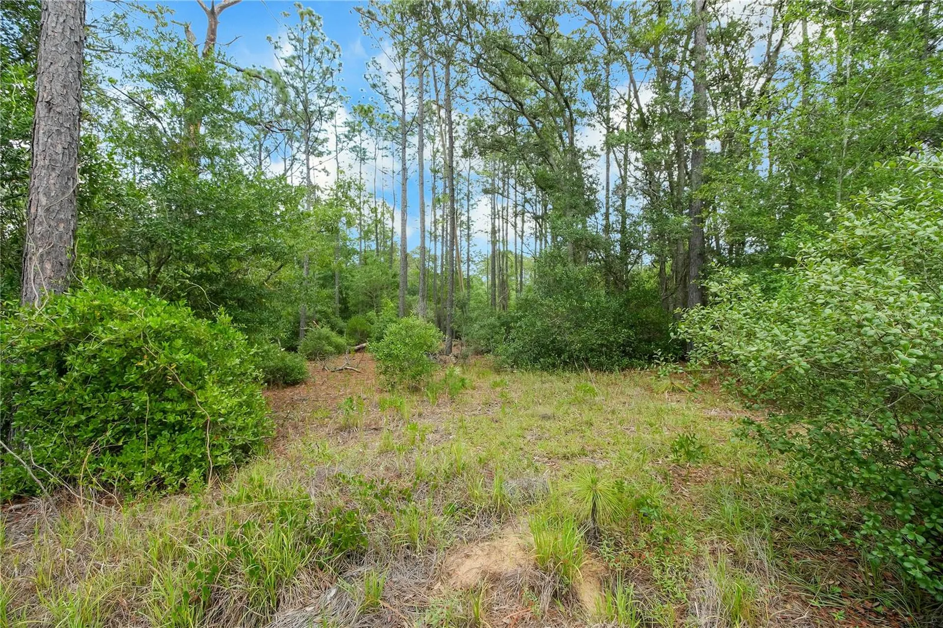 20831 SW 59th Lane Dunnellon FL 34431