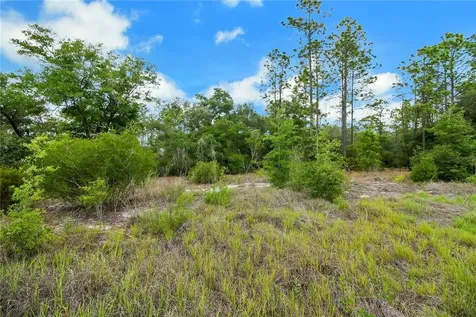 20831 SW 59th Lane Dunnellon FL 34431