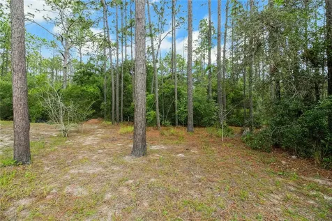 20831 SW 59th Lane Dunnellon FL 34431