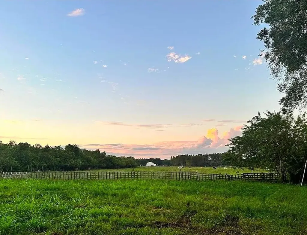 11710 Meadowdale Drive Tampa FL 33625