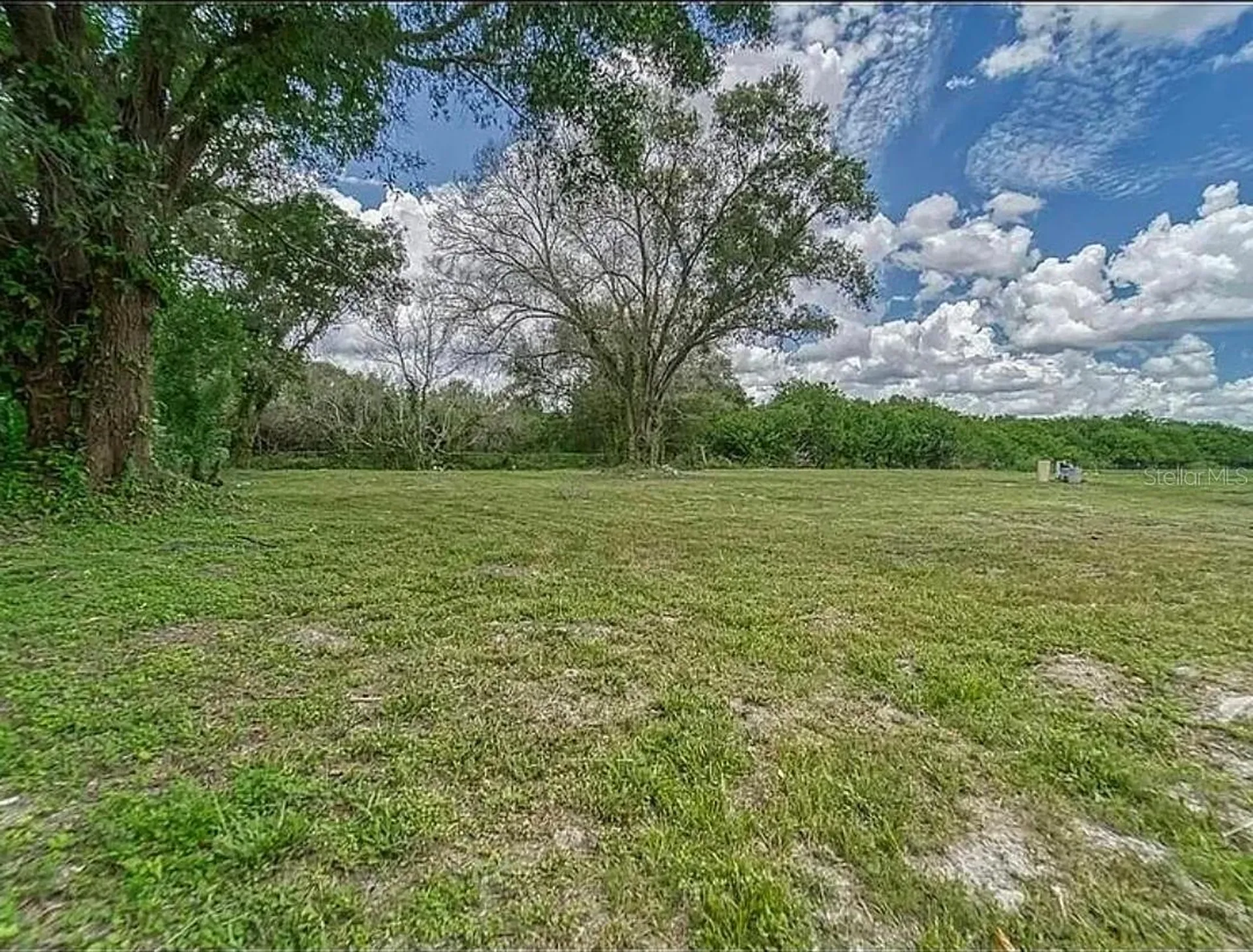 11710 Meadowdale Drive Tampa FL 33625