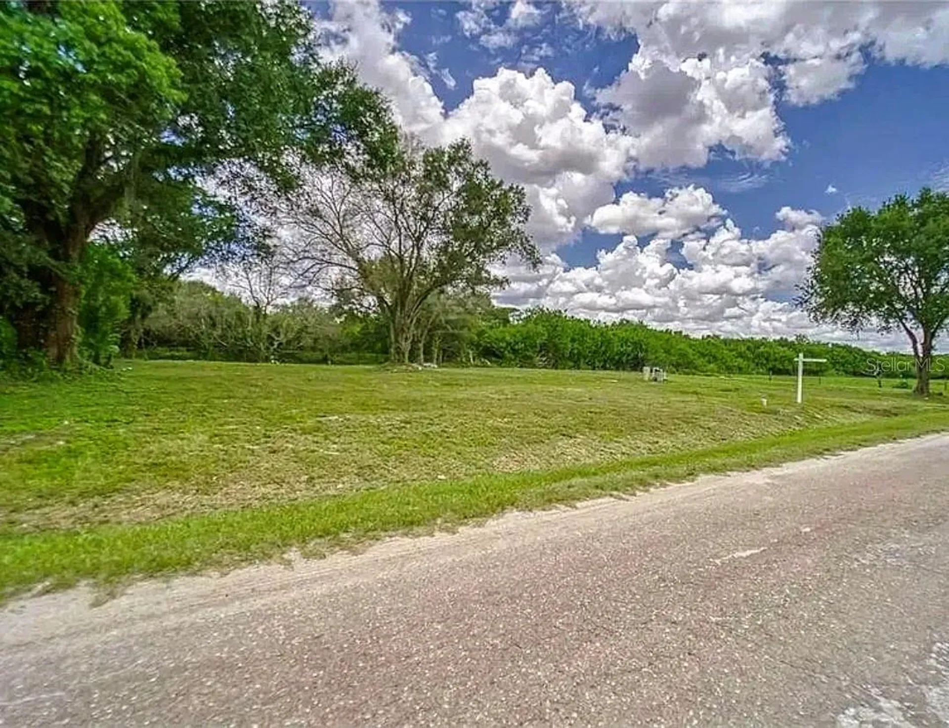 11710 Meadowdale Drive Tampa FL 33625