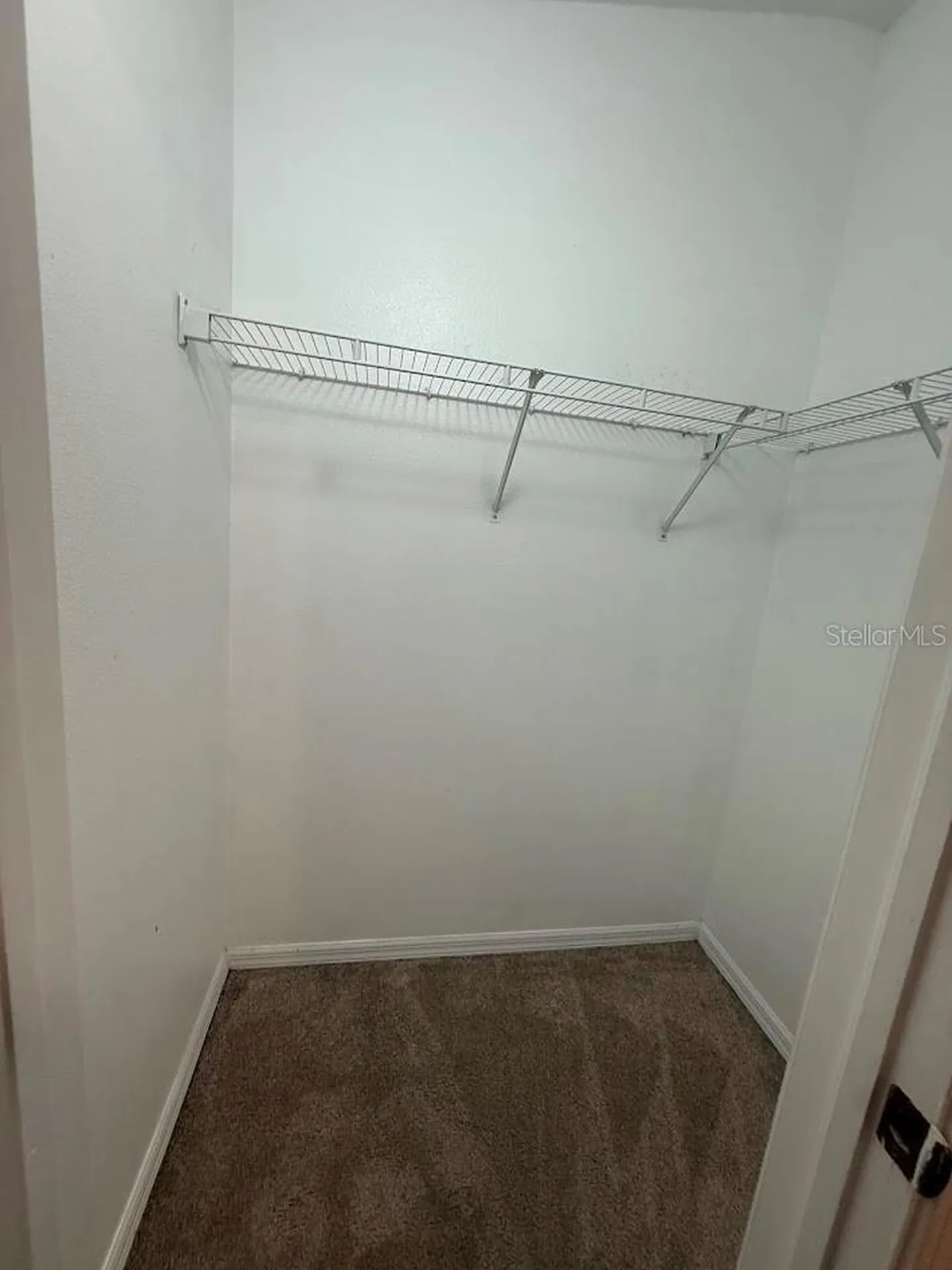 12403 Foxmoor Peak Drive Riverview FL 33579