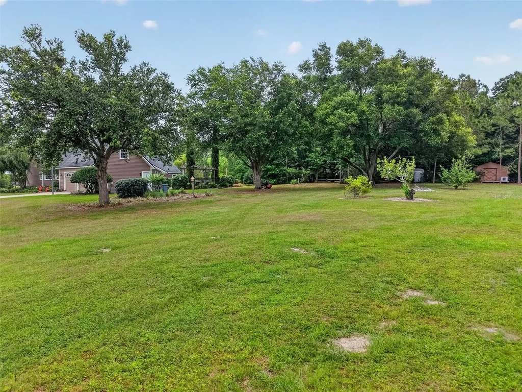 20514 Bill Collins Road Eustis FL 32736