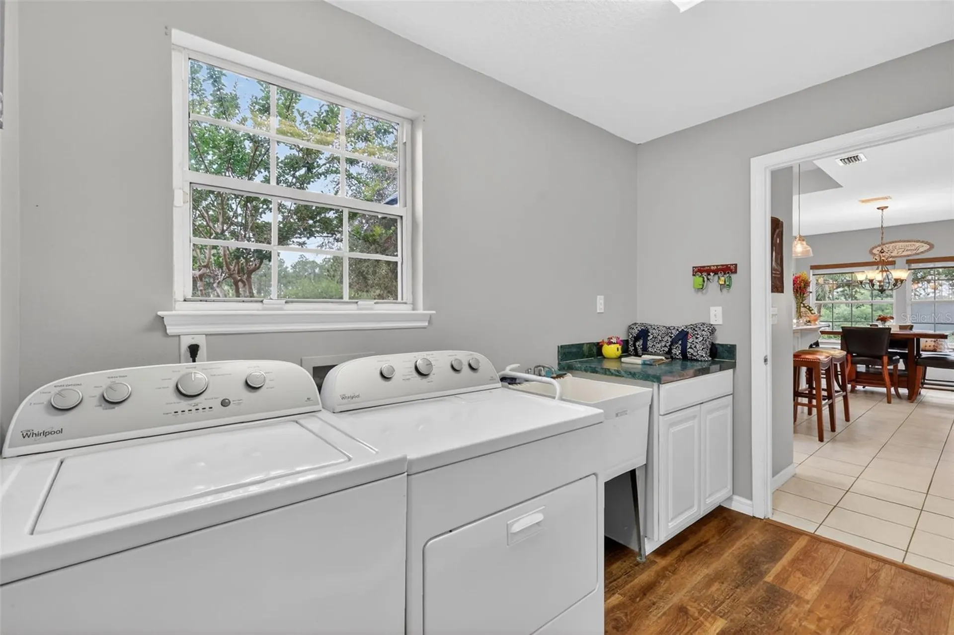 20514 Bill Collins Road Eustis FL 32736