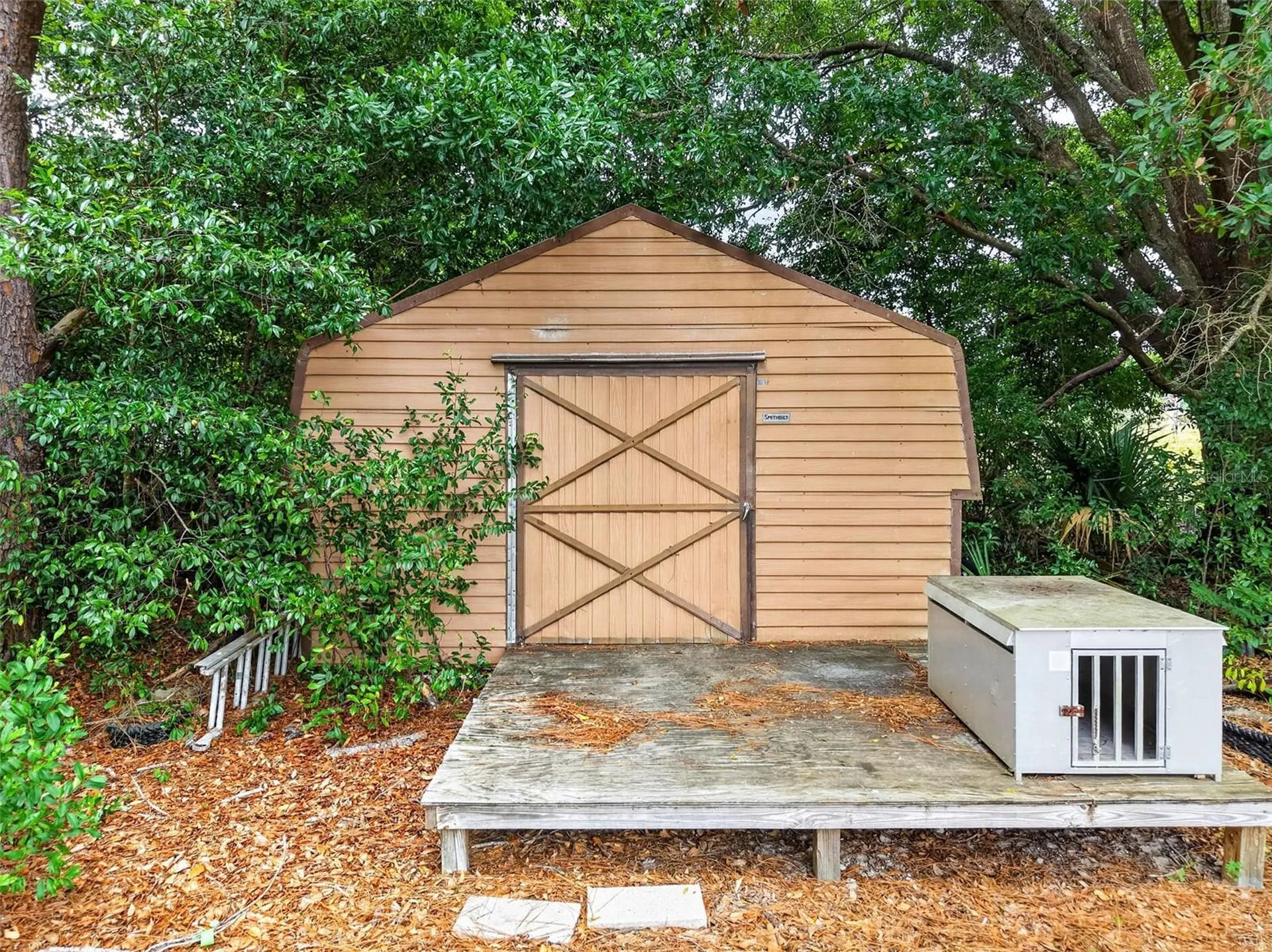 20514 Bill Collins Road Eustis FL 32736