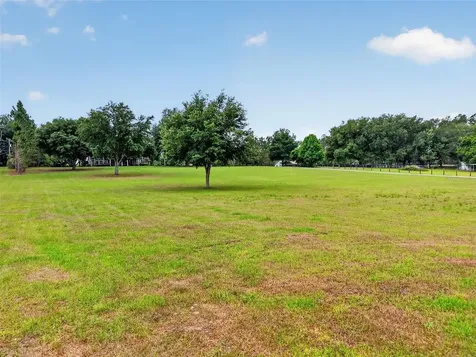 20514 Bill Collins Road Eustis FL 32736