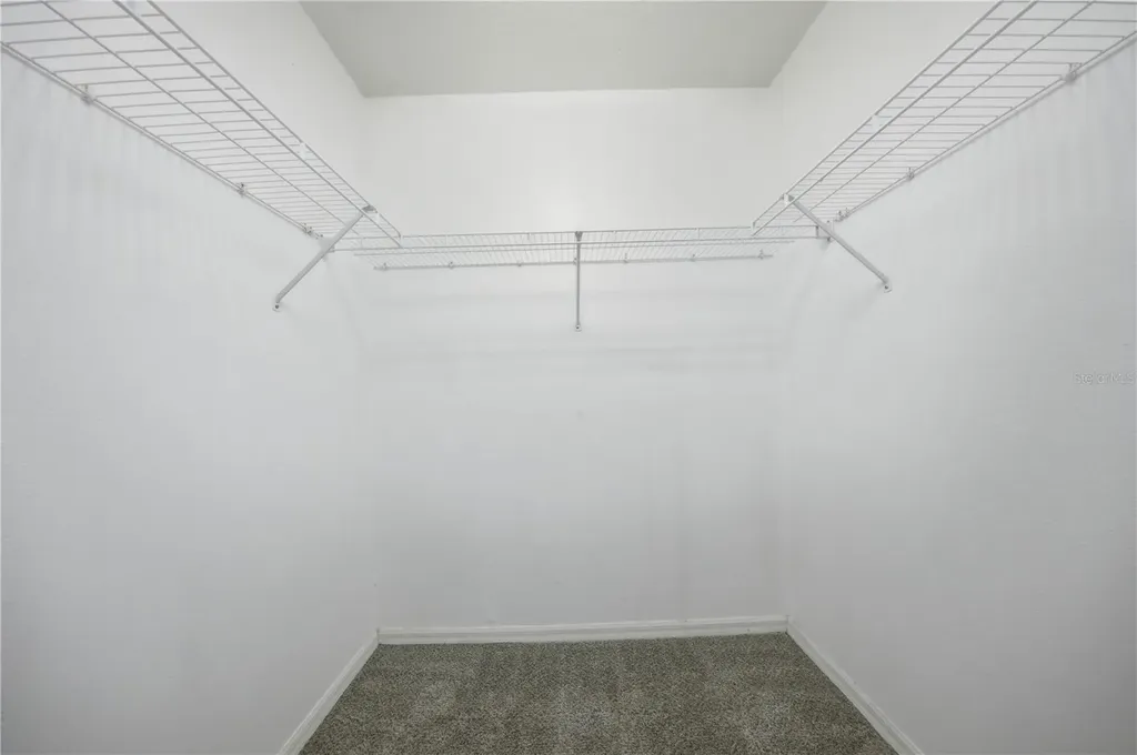 7006 Orvicti Court Wesley Chapel FL 33544