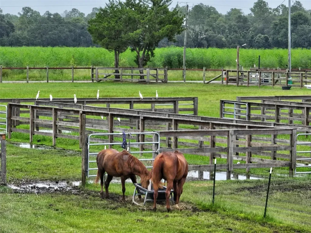 596 E County Road 90 Bunnell FL 32110