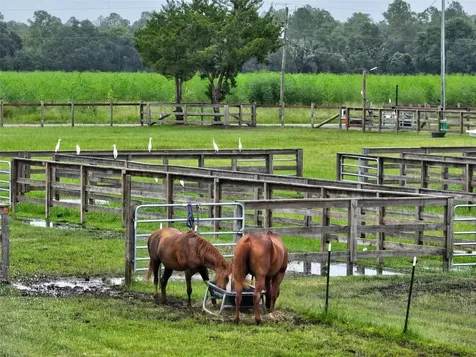 596 E County Road 90 Bunnell FL 32110