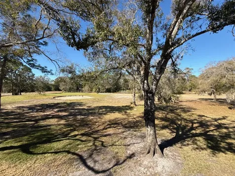 3505 Tarpon Woods Boulevard Palm Harbor FL 34685