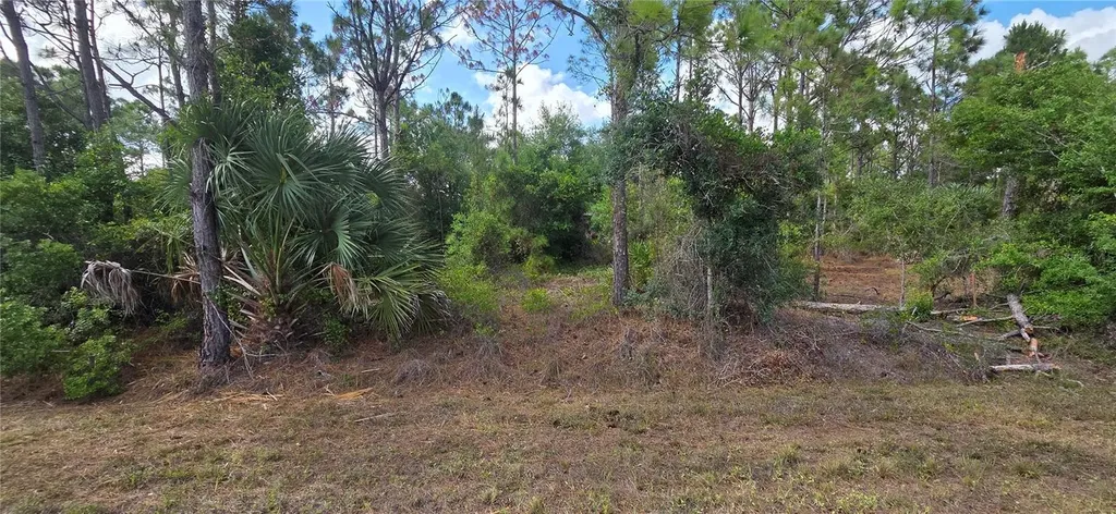 27408 Mandalay Drive Punta Gorda FL 33955