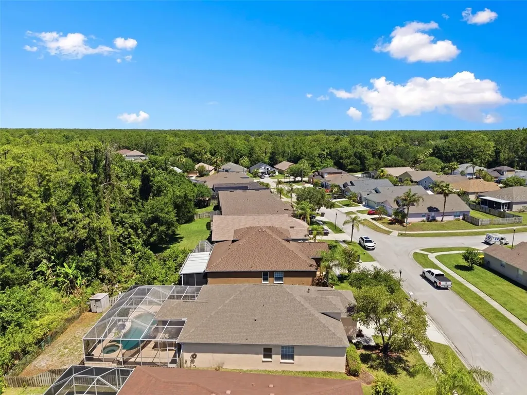 14330 Moon Flower Drive Tampa FL 33626
