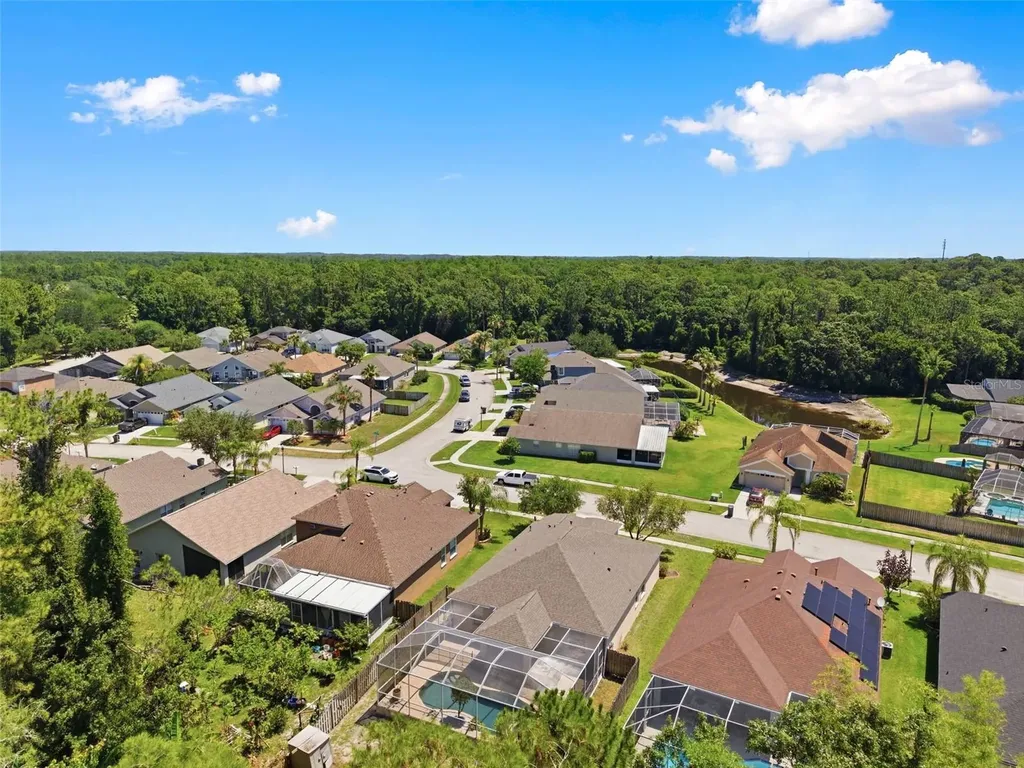 14330 Moon Flower Drive Tampa FL 33626