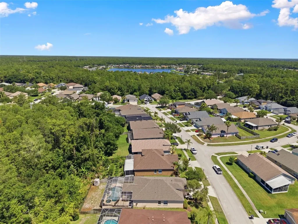 14330 Moon Flower Drive Tampa FL 33626