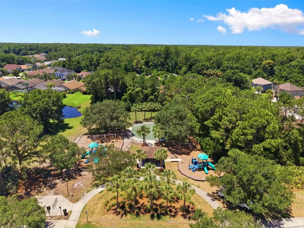 14330 Moon Flower Drive Tampa FL 33626