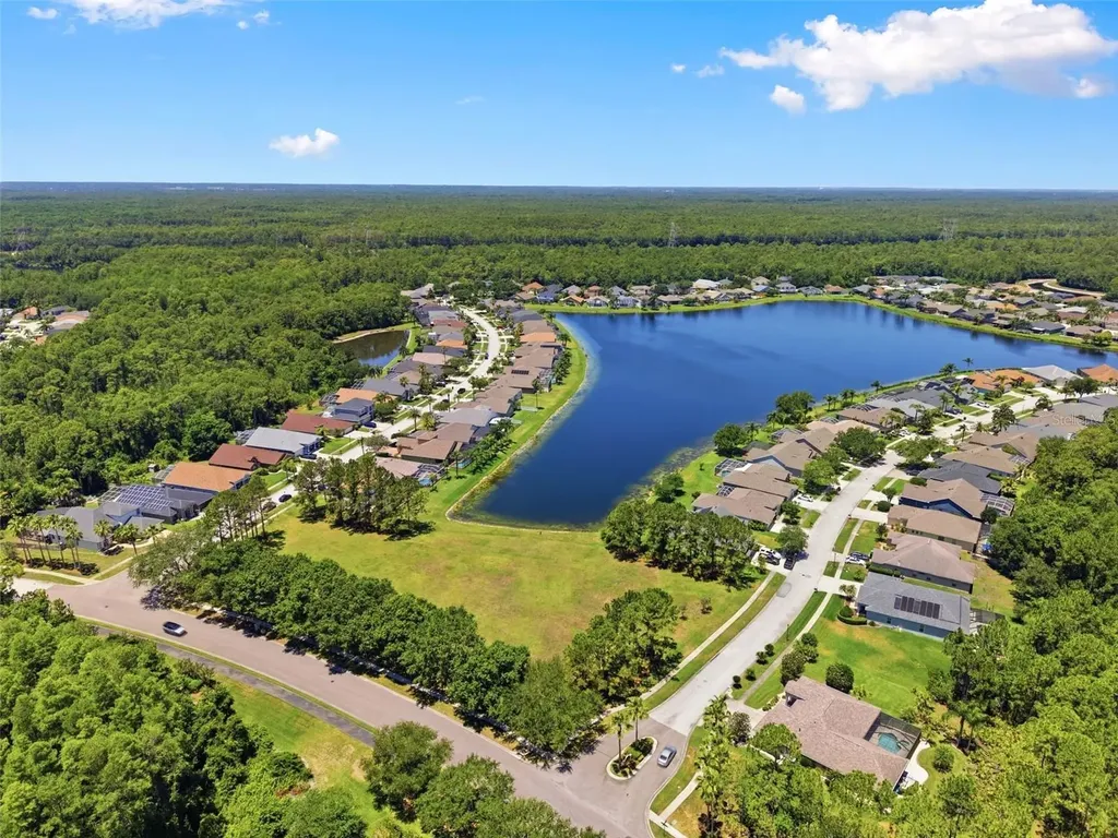 14330 Moon Flower Drive Tampa FL 33626