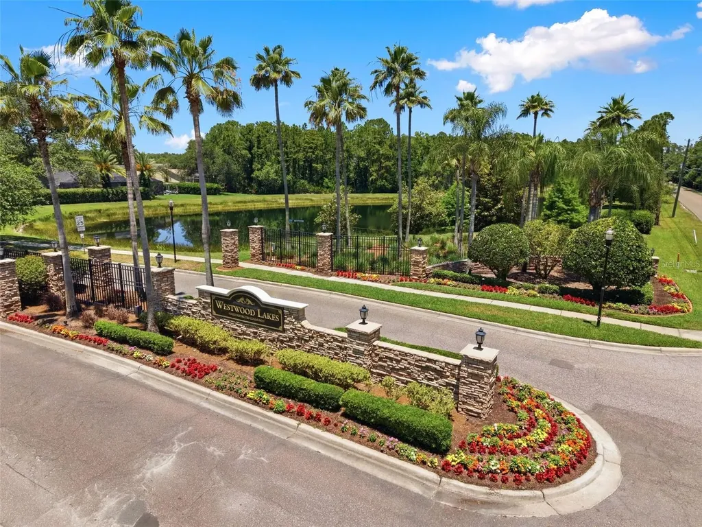 14330 Moon Flower Drive Tampa FL 33626