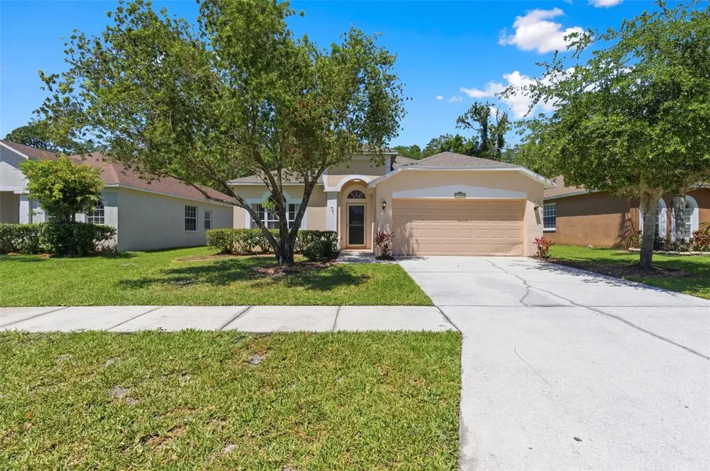 14330 Moon Flower Drive Tampa FL 33626