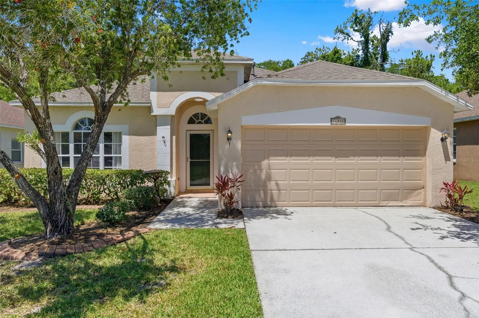 14330 Moon Flower Drive Tampa FL 33626