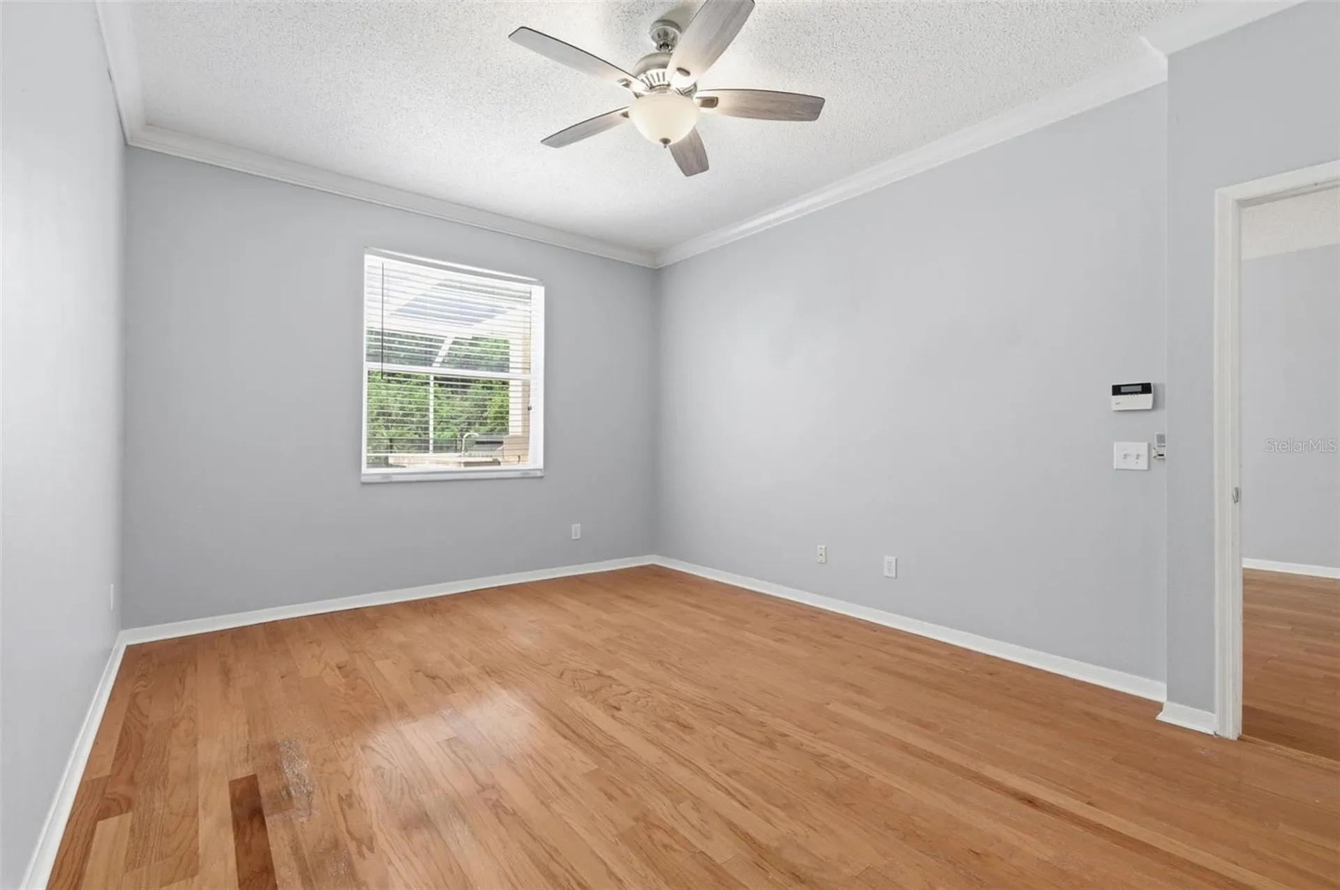 14330 Moon Flower Drive Tampa FL 33626