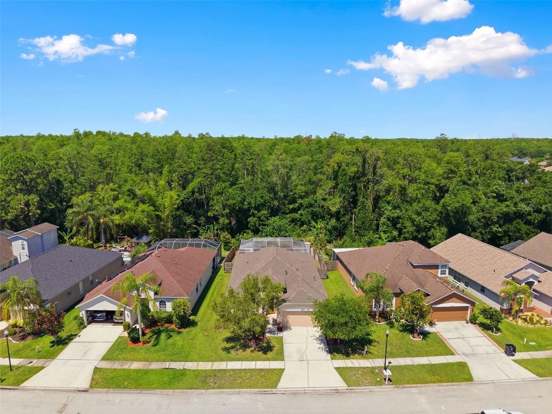 14330 Moon Flower Drive Tampa FL 33626