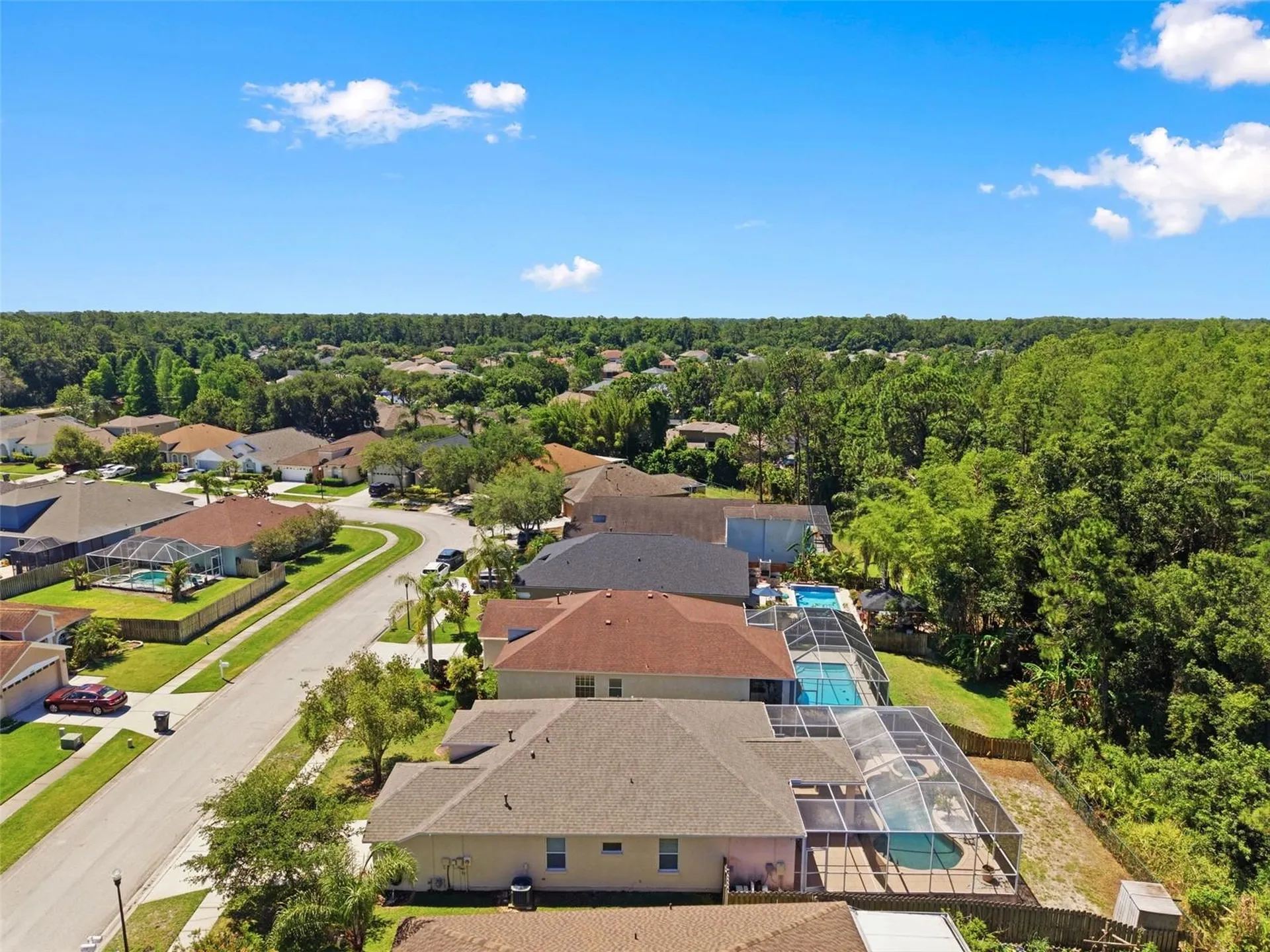 14330 Moon Flower Drive Tampa FL 33626