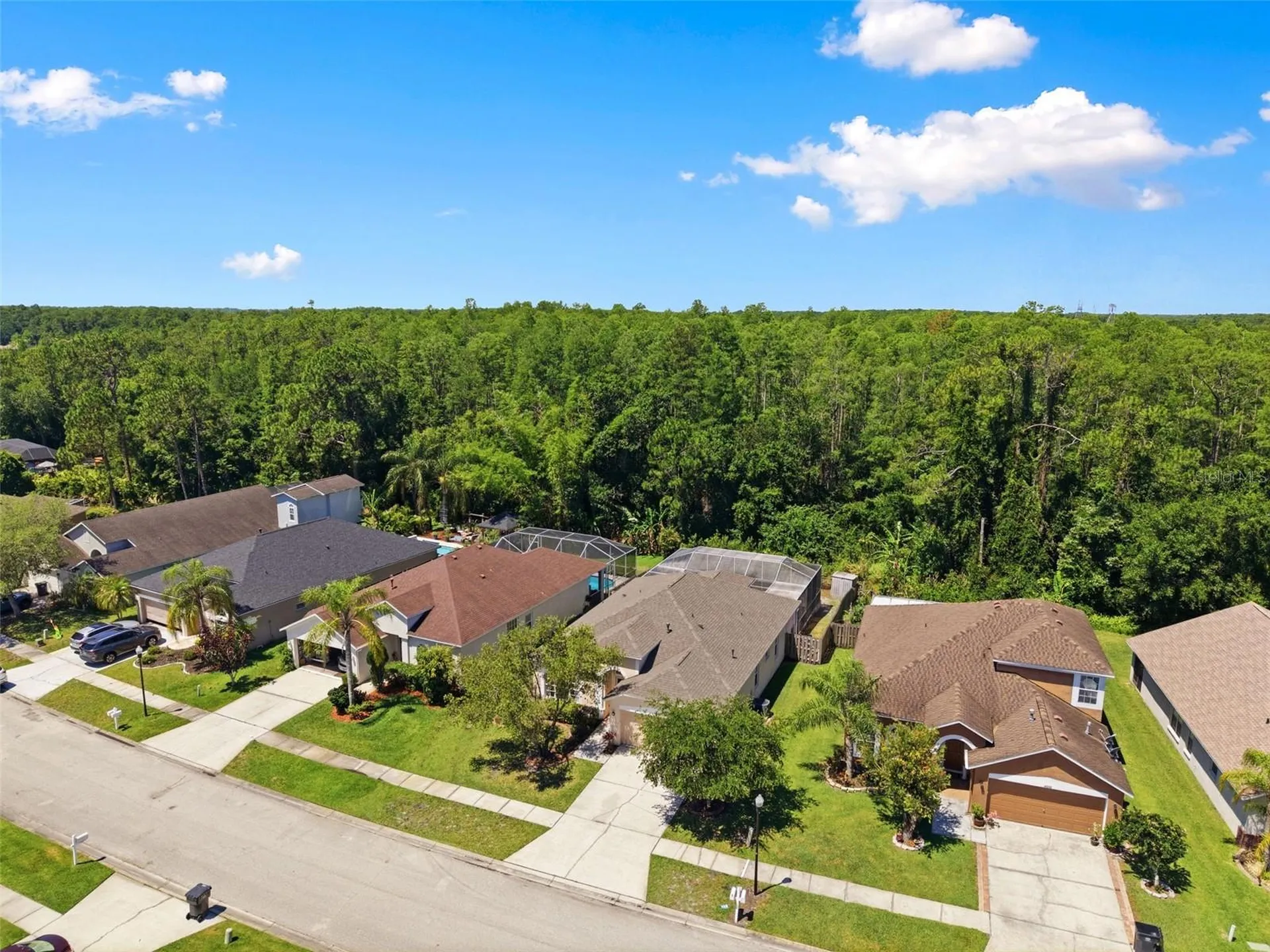 14330 Moon Flower Drive Tampa FL 33626