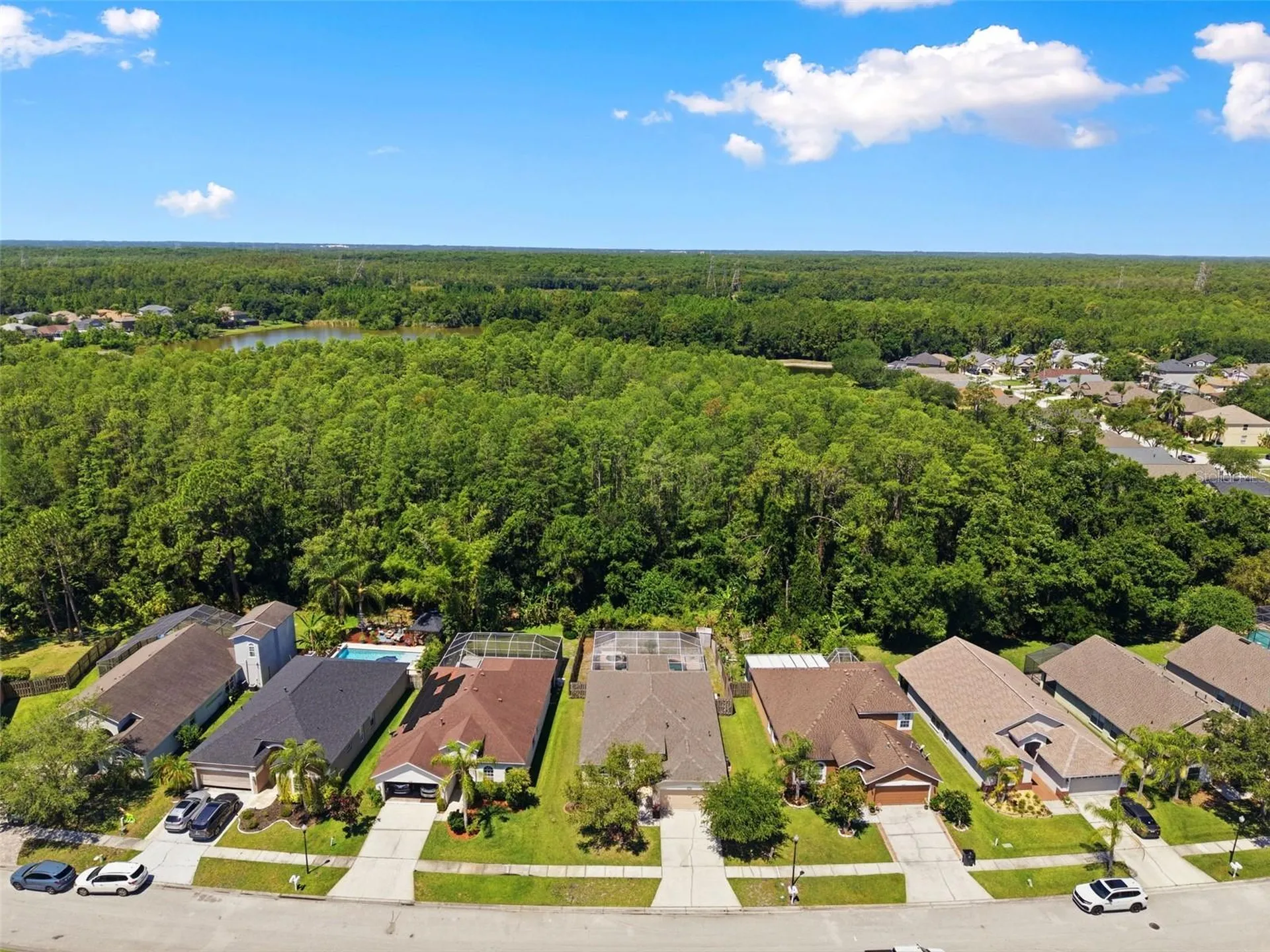 14330 Moon Flower Drive Tampa FL 33626
