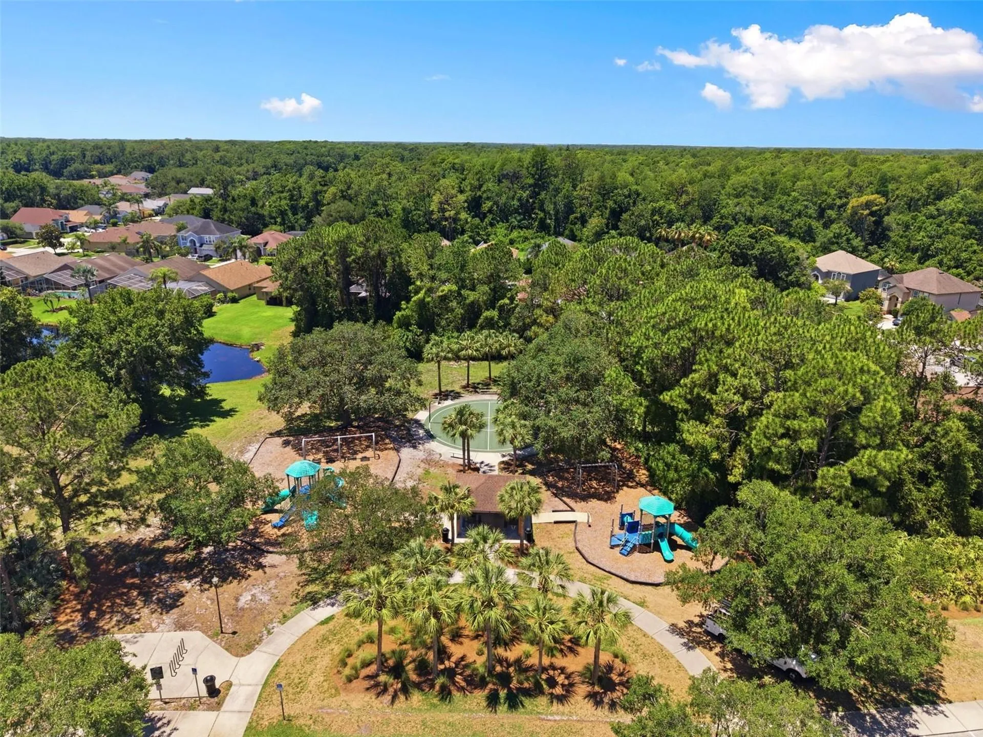 14330 Moon Flower Drive Tampa FL 33626