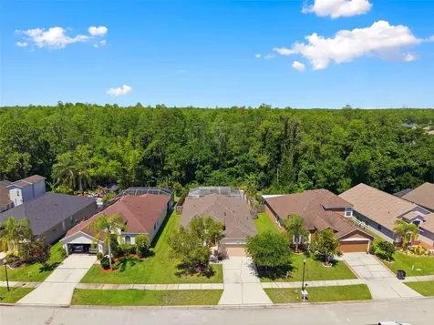 14330 Moon Flower Drive Tampa FL 33626