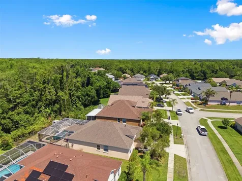 14330 Moon Flower Drive Tampa FL 33626