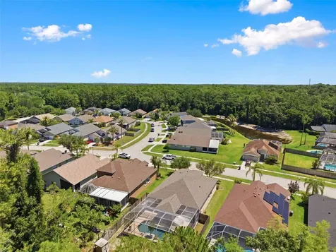 14330 Moon Flower Drive Tampa FL 33626
