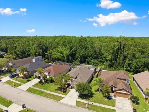 14330 Moon Flower Drive Tampa FL 33626